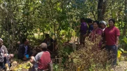 PLN UIP Nusra Lanjutkan Penggalian dan Pembenaman Pipa Program Bantuan Jaringan Air Bersih di Desa Tiwotoda