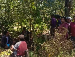 PLN UIP Nusra Lanjutkan Penggalian dan Pembenaman Pipa Program Bantuan Jaringan Air Bersih di Desa Tiwotoda