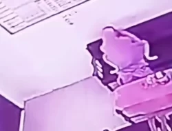 Guru SD di Pekalongan Sampaikan Permohonan Maaf Usai Rekaman CCTV Bareng Kepsek Viral
