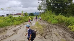 Urat Nadi Pertanian Desa Mbuit Terputus Jelang Musim Tanam, Akses Jalan Dange-Teko Hancur