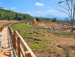 PLN Hadirkan Geowisata Mataloko, Destinasi Edukasi Panas Bumi Ditargetkan Rampung Awal 2027