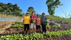 Poktan Desa Wewo Akui Program Budidaya Hortikultura PLN UIP Nusra Tingkatkan Ketersediaan Pangan dan Potensi Ekonomi Pertanian
