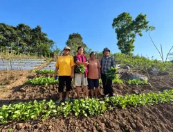Poktan Desa Wewo Akui Program Budidaya Hortikultura PLN UIP Nusra Tingkatkan Ketersediaan Pangan dan Potensi Ekonomi Pertanian