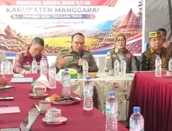 Ombudsman RI Beberkan Temuan Lapangan: Urgensi Huntara hingga Ancaman Kesenjangan Pemulihan